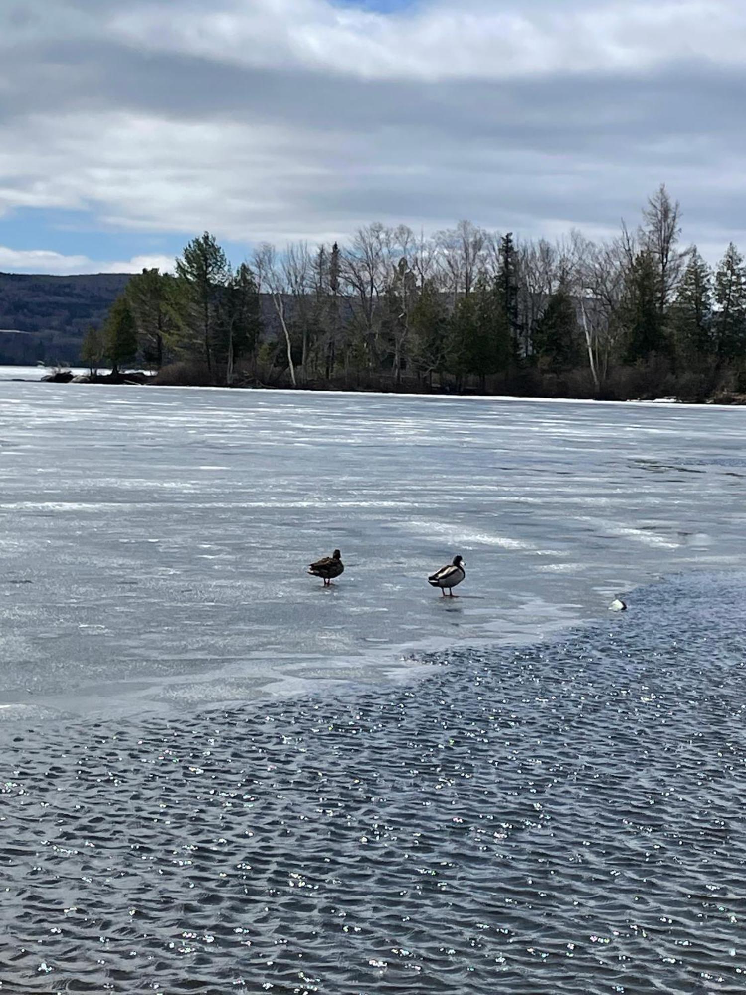 Rangeley Town & Lake Exteriör bild